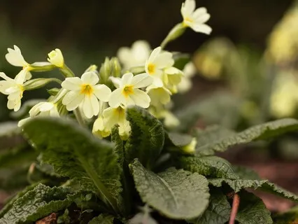 Your Role In The Web Of Life - February 24