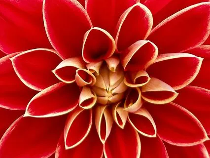 Your Root Chakra Supports You... Deep Meditation For Change