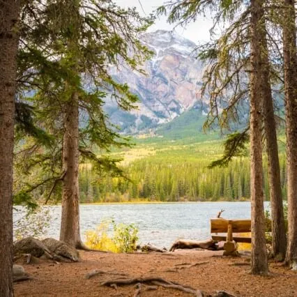 Your Sacred Sanctuary Meditation