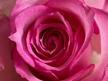 Your Sacred Stillness Healing