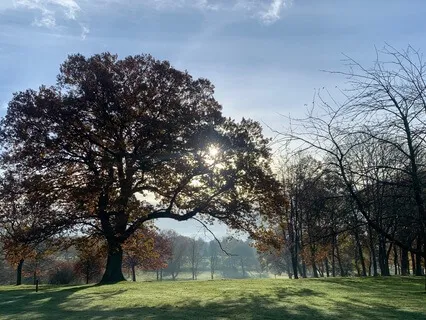 Your Safe, Calm & Peaceful Place