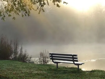 Your Safe Place For Anxiety Relief And Calm