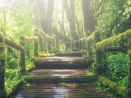 Your Safe Space To Ease Emotional Eating