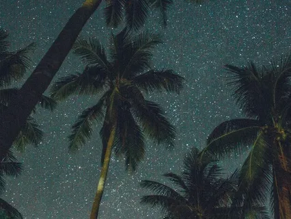 Your Sanctuary, Nidra For Sleep