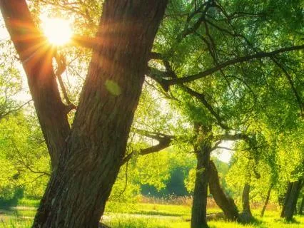 Your Secret Place With God | Experience Spiritual Renewal