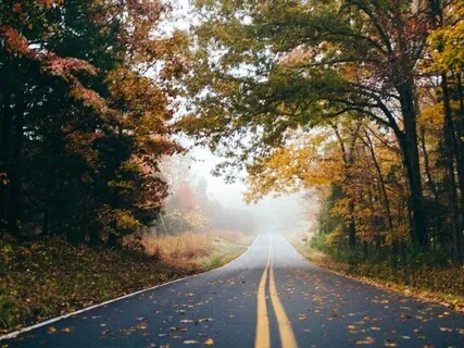 Your Shadow - Part II Of The Journey Of Becoming 