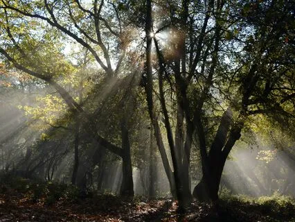 Your Soul Knows The Way