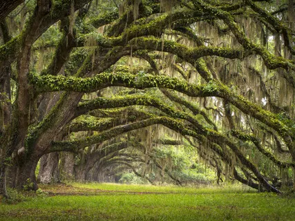 Your Soul: What Is It?