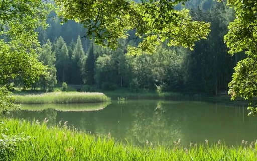 Your Source Of Love - Meditation 45