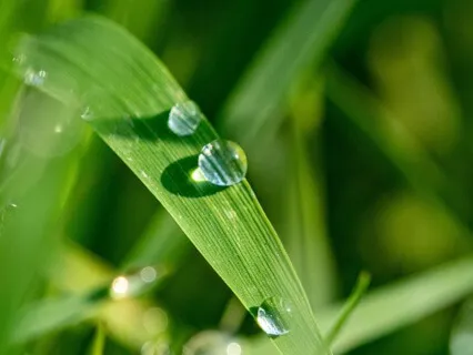 Your Special Place- Medicinal Rain For Your Pain