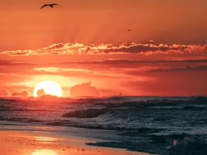 Your Special Place- The Healing Room For Your Womb