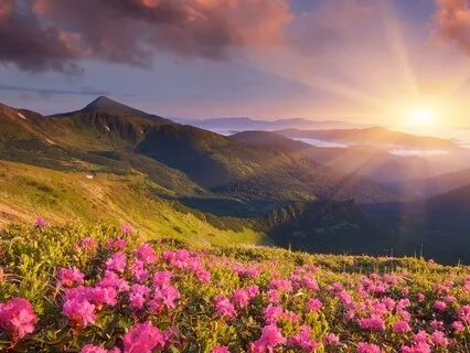 Your Special Place- The Mountain Of Achievement