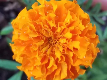 Your Spiritual Support Team: A Changing Of The Guard