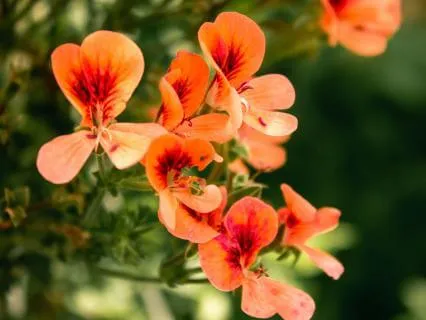 Your Success Is A Gift To The World