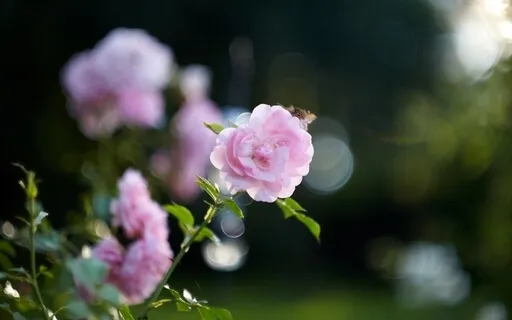 Your Suffering Can Be Your Superpower