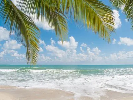 Your Summer Escape
