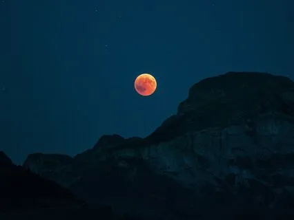 Your Time To Flourish Is Now Affirmations