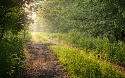 Your Tranquil Meditation  Retreat with 528 Hz
