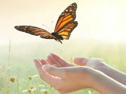 Your True Authentic Self