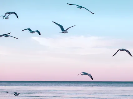 Your True Intrinsic Value: A Story About Your Self-Worth