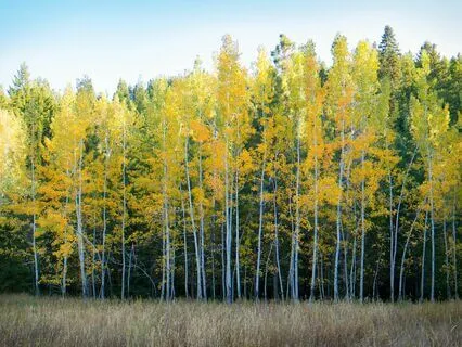 Your Unique Energy Will Make You Rich