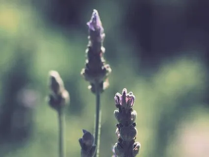 Your Very Being Is Love