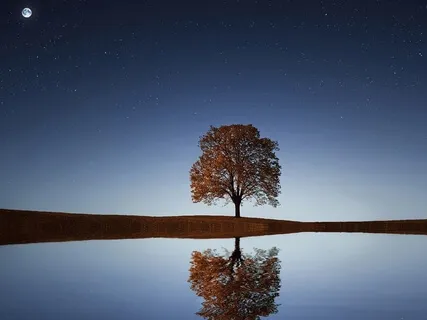 Your Very First Mindfulness Exercise