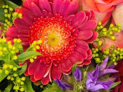 Your Vibrant Body: Reconnect With Your Life Within