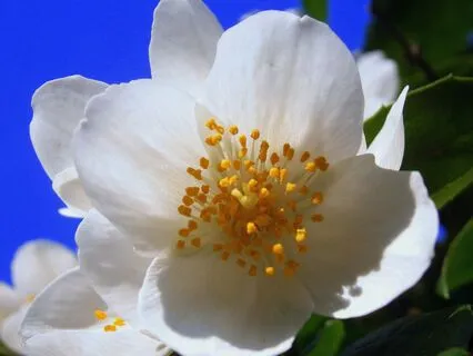 Your Well-Being Is Always Within