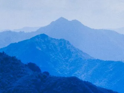 Visualize & Become Your Next Level Self