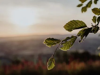 Your Words Shape Your Life: 30-Day Mindshift