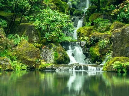 Your Woundedness Is Your Giftedness