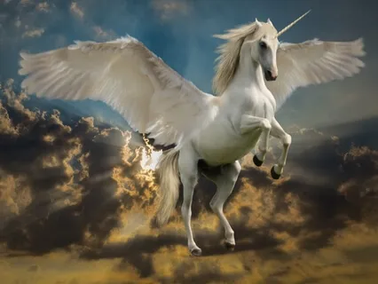 You're Never Too Old To Be Touched By A Unicorn