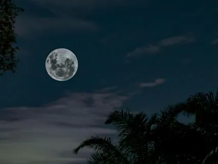 You're Not Alone - Music Pause with Vocal Chorus (Hour Loop)