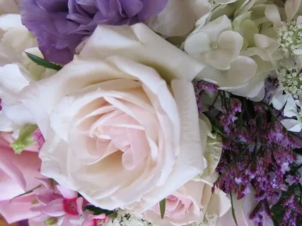 与えて受けるコンパッションの瞑想 (Giving & Receiving Compassion)