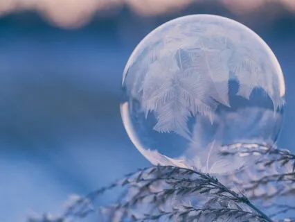 Yule Meditation - Winter Garden