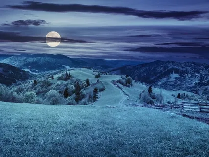 Surrender Into Self-Acceptance