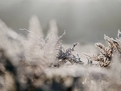 Забота О Себе