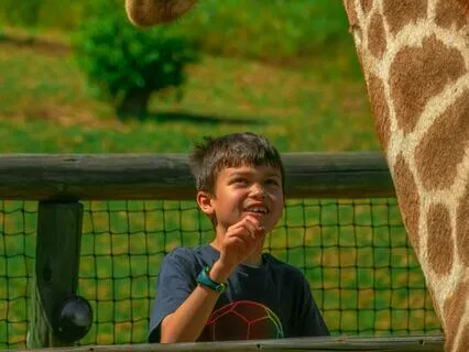 Zach Goes To The Zoo Sleep Story