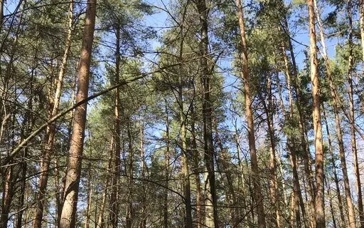 Замедление