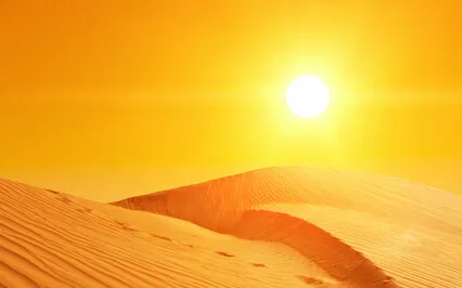 Zazenkai 108 Minutes