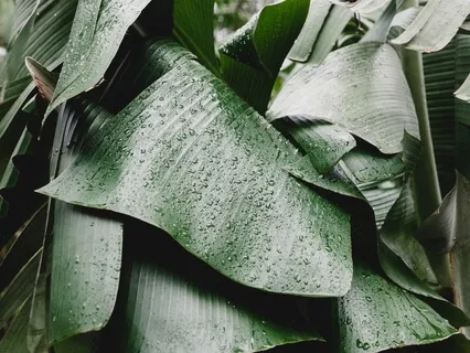 Заземление. Освобождение От Негативных Эмоций