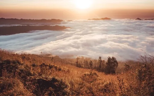 Zen Astrology: Sustained Drones For Leo 