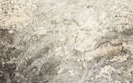 Zen Breath 20 Min Guided Meditation