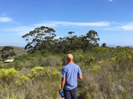 Zen Breath Counting Meditation (25 Minutes)