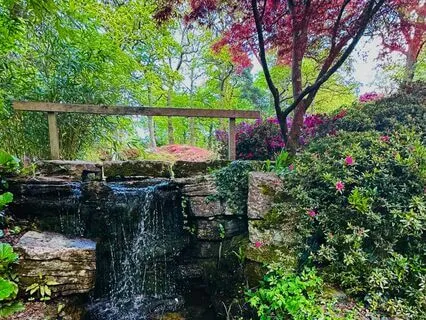 Zen Cascade: Tranquil Waters Of A Japanese Garden
