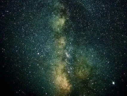 Zen Delta Brainwaves