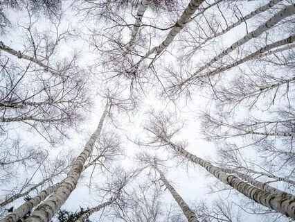 Zen Drop 3: One Minute Per Day Sends Good Karma Your Way