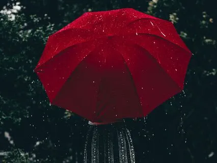 Zen Drop 4: One Minute Per Day Sends Good Karma Your Way