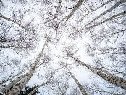 Zen Drop 5: A Minute Per Day Sends Good Karma Your Way